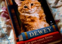 Dewey, o gato entre livros