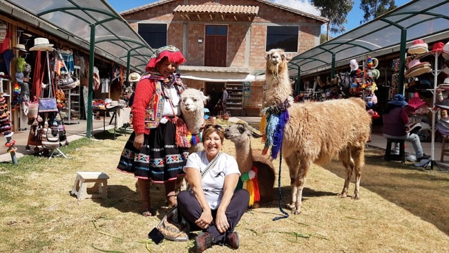 Lhamas e alpacas em Cusco