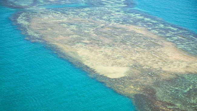 Barreiras de Coral em Corumbau - Flutuação de observação da vida marinha