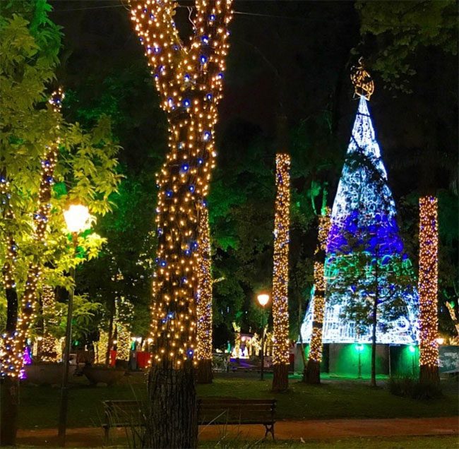 Árvore de Natal na Praça da Liberdade em Petrópolis