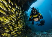 10 destinos para praticar mergulho no litoral brasileiro 1