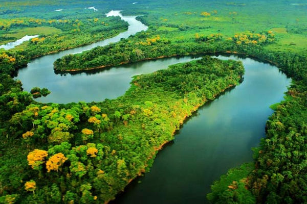 Amazônia, pulmão do planeta